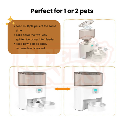 Fur Friends | Dual Pet Automatic Feeder